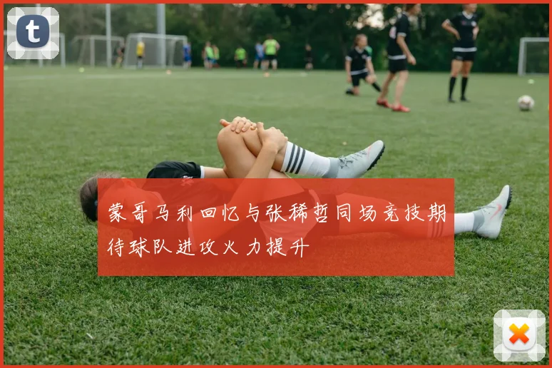 蒙哥马利回忆与张稀哲同场竞技期待球队进攻火力提升